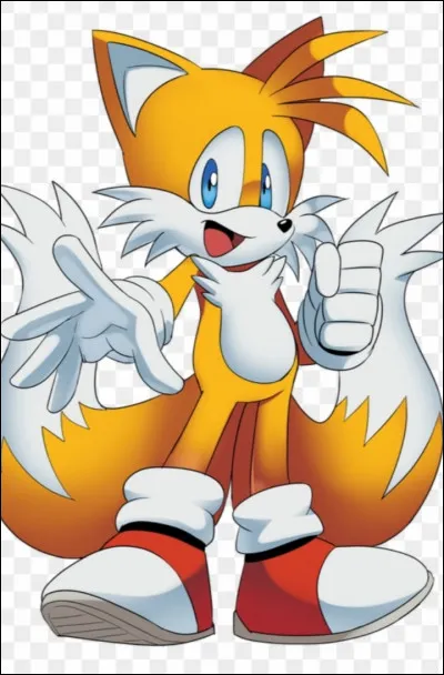 Comment s'appelait Tails auparavant ?