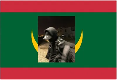 Je suis le drapeau d'un pays d'Afrique...