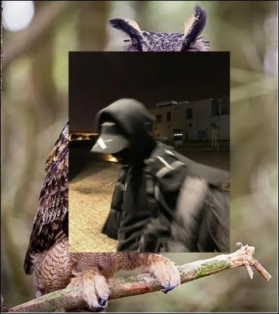 Quel animal suis-je ?