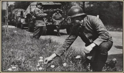 Quel nom porte, en France, cette période d'observation au début de la Seconde Guerre mondiale ?