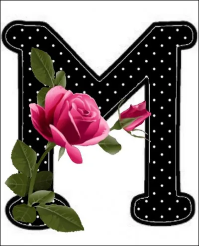 J'M Moustiers-Sainte-Marie ! Outre le fait que ce soit un tr&egrave;s joli village, pourquoi est-il r&eacute;put&eacute; ?