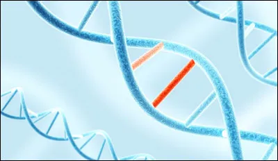 À quoi est due la diversité des individus d'une même espèce ? Cochez la mauvaise réponse.