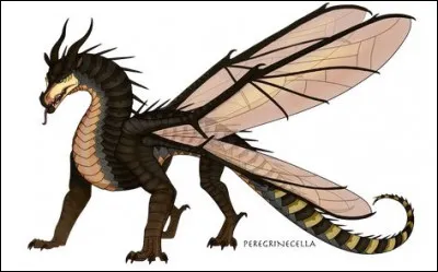 Jaurais du être une Aile du Ciel. Pourtant, je suis quand même devenue reine, et jaime quelquun dun autre clan.
Je me nomme