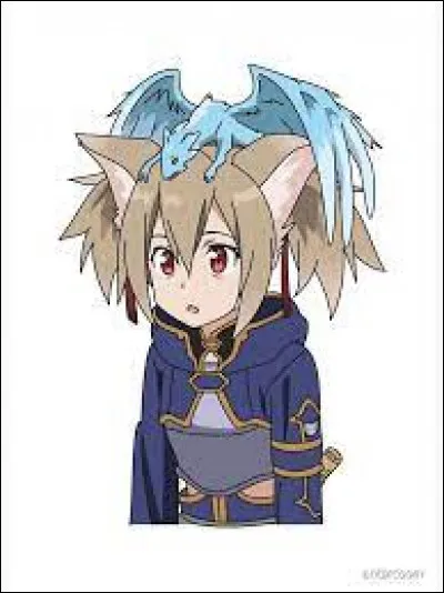 Kirito est en couple avec Silica.