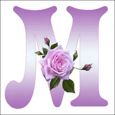 J'aime les mogettes ! Spécialités de Vendée, ce sont des haricots secs, mais de quelle couleur ?