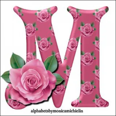 J'M "Le Magnifique" ! Qui jouait dans ce film sorti en 1973 ?