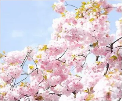 Si tes amis et ta famille sont en danger...