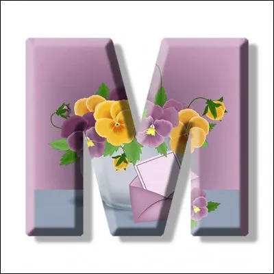 J'M "Le Mas Théotime" ! Qui a écrit ce livre ?