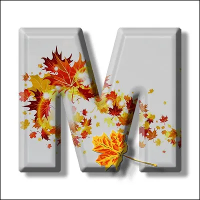 J'M Malaga ! Sur quelle côte espagnole est-elle située ?