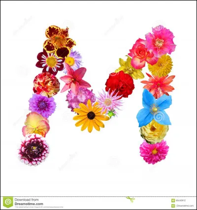 J'M la moutarde ! Surtout celle de Dijon ! Quelle est la couleur des graines avec lesquelles elle est élaborée ?