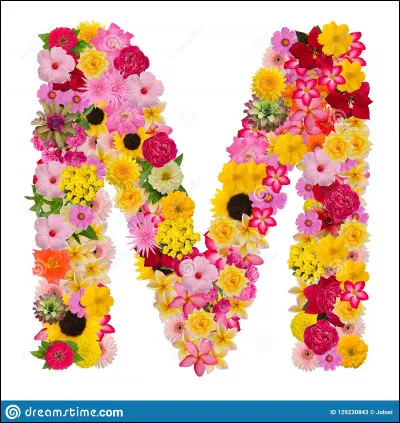 J'aime le Monopoly ! Dans le jeu classique, de quelle couleur est la rue de la Paix ?