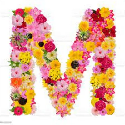 J'M Maubeuge ! Qui a médiatisé cette ville qui devint connue grâce à son clair de lune ?