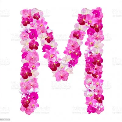 J'M Madison ! Qui jouait dans le film "Sur la route de Madison", réalisé en 1995 ?