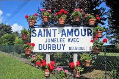 Dans quelle région viticole le saint-amour est-il produit ?