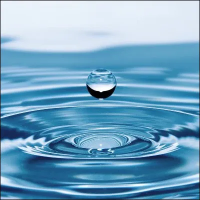 Quel acide provoque la maladie appelée familièrement goutte quand il est en excès dans le sang ?