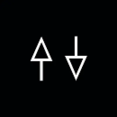 Quel est le genre musical d'Animal Triste ?