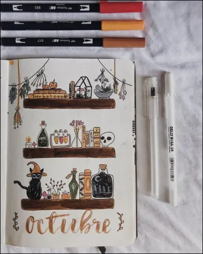 Octobre - Le soir d'Halloween, j'ai regardé un des films de la saga "Harry Potter" en famille : il s'agissait de celui dans lequel Evanna Lynch fait sa toute première apparition :