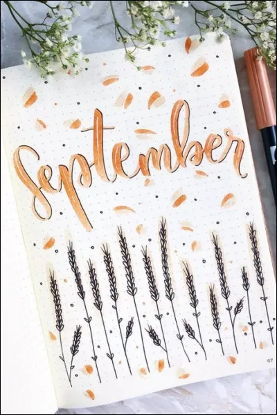 Septembre - Mois de ma dernière rentrée universitaire, je goûtais aux joies de l'électrochimie : comment conserver la couche de diffusion constante à la surface de l'électrode ?