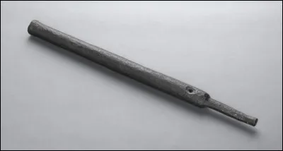 Quel animal &eacute;tait une p&eacute;thole ?