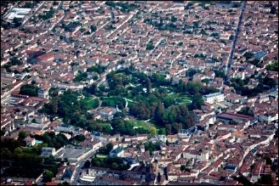 Coton&eacute;e est l'ancien nom d'un arbre fruitier. Lequel ?