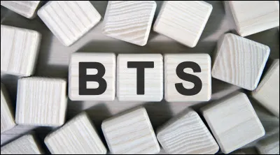 À qui s'adresse les études de BTS en général ?