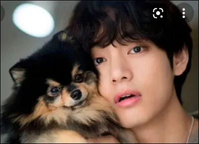 Comment s'appelle le chien de Taehyung ?