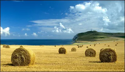 Pays du Nord de la France, posté en bordure de Manche, la région des caps est l'une des plus belles du Pas de Calais, c'est ?