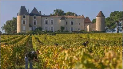 Pays des plus grands vins de Bordeaux, de grandes forêts de pins et de belles propriétés, assis sur la rive gauche de la Gironde, il s'agit ?