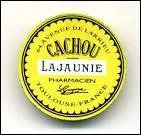 Cr��e en 1880 par un pharmacien toulousain, cette pastille a fait le tour du monde. Quel est son nom ?