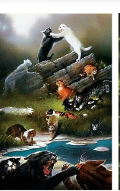 Que fais-tu dans une bataille ?