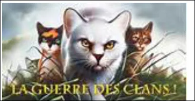 Dans quel clan es-tu ?
