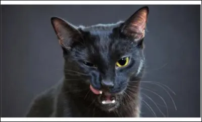 Quelle est ta matière préférée ?