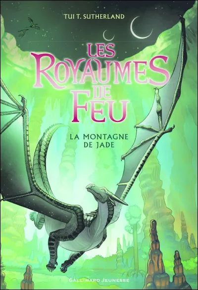 Une Aile de Nuit aussi... Qui est-ce ?