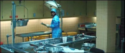 Dans quel film Viola Davis est-elle m&eacute;decin l&eacute;giste ?