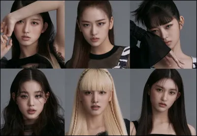 Dans un groupe de kpop, tu serais ?