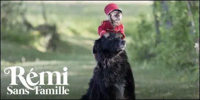 Comment s’appelle le singe dans « Sans famille » ?