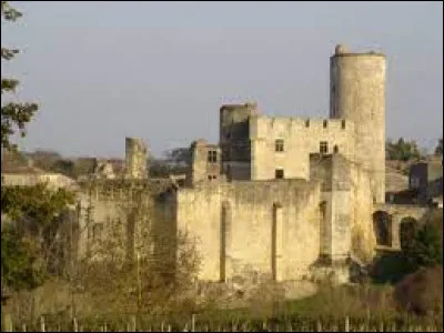 Je vous emm&egrave;ne en Nouvelle-Aquitaine &agrave; la d&eacute;couverte du ch&acirc;teau de Rauzan. Nous serons dans le d&eacute;partement ...