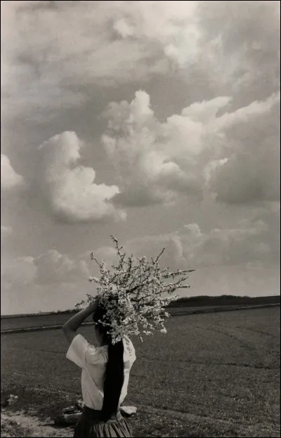 À qui doit-on "cueillette de fleurs, Île-de-France" ?