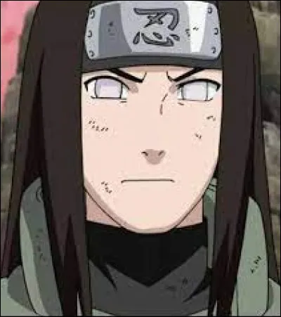 Qui sont les 2 acolytes et le sensei de Neji ?