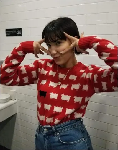 Avec quelle marque na-t-elle pas collaboré ?