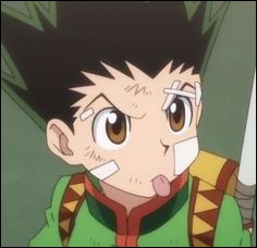 Quiz Hunter x hunter