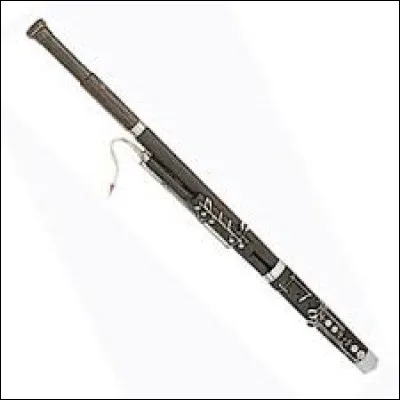 Sur cette photo, on voit un basson :