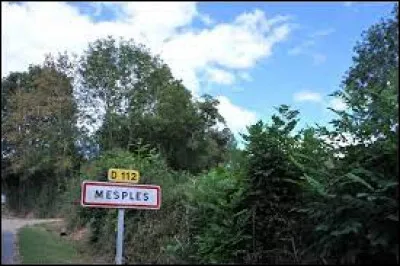 Mesples est une commune Bourbonnaise située dans l'ex région ...