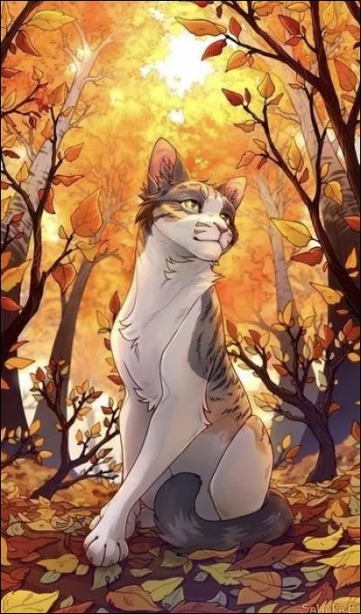 Quel chat a dit : 

« Tu ne risques pas de te ramollir, tu ne comprends pas ? C'est ça, le pouvoir spécial que t'a donné la prophétie : celui de te battre mieux que n'importe quel guerrier des clans. » ?