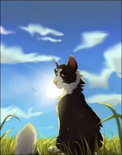 Quel félin a énoncé : 

« Je t'admirais, je voulais te ressembler. Mais Plume Rousse était mon mentor. Je lui dois tout et toi tu l'as tué. Tu l'as tué et tu as trahi notre clan. Je mourrais plutôt que de te suivre. » ?