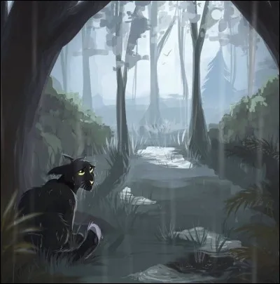 Qui a dit : 

«À partir de maintenant, tu t'appelleras Conteuse des Pointes Rocheuses. D'autres viendront après toi, saisons après saisons. Choisis-les bien, forme-les bien et confie-leur l'avenir de la Tribu. » ?