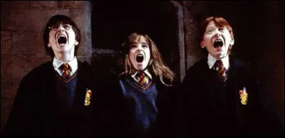 Qui tue Sirius Black ?