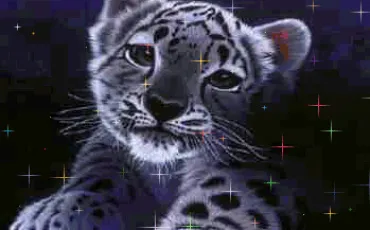 Quiz Animaux