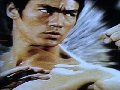Bruce Lee a dit : Le coup de point pratiqu au Karat est plus brutal que celui pratiqu au Jeet Kune Do. .
