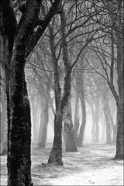 Dans les années 1930, ce qui va permettre à l'Allemagne de diminuer son taux national de chômage :